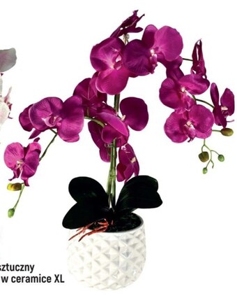 E.Leclerc Storczyk oferta