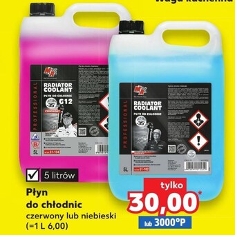 Płyn do chłodnic