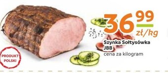 Gama Szynka jbb oferta