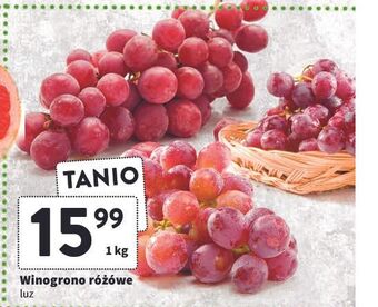 Intermarche Winogrona różowe oferta