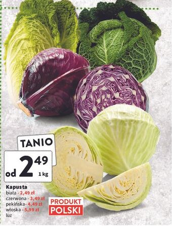 Intermarche Kapusta włoska oferta