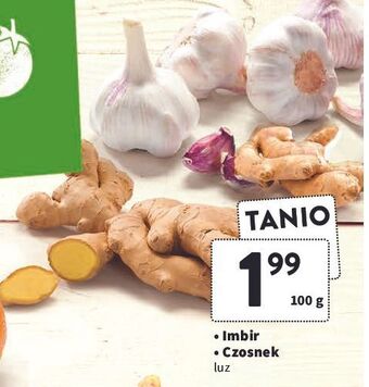 Intermarche Czosnek oferta