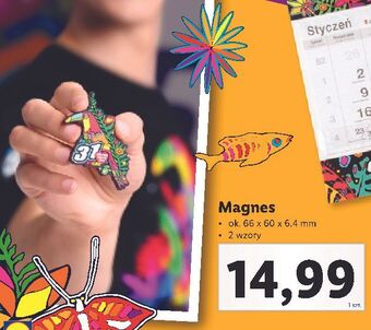 Lidl Magnes wośp oferta