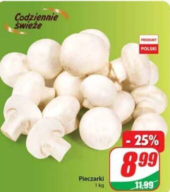 Dino Pieczarki oferta