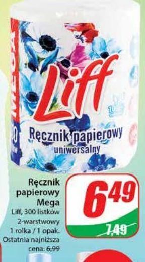 Dino Ręcznik papierowy liff oferta