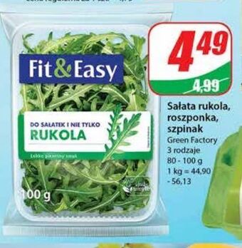 Dino Rukola fit & easy oferta