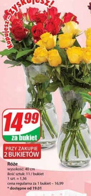 Dino Róże 40 cm oferta