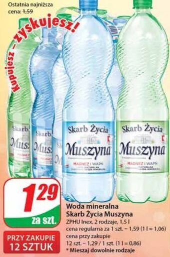 Dino Woda gazowana muszyna skarb życia oferta