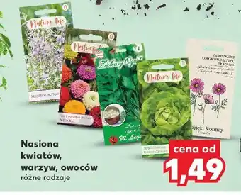 Kaufland Nasiona warzyw oferta