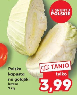 Kaufland Kapusta na gołąbki oferta