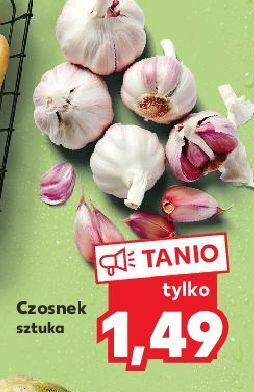 Kaufland Czosnek oferta