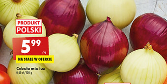 Biedronka Cebula oferta