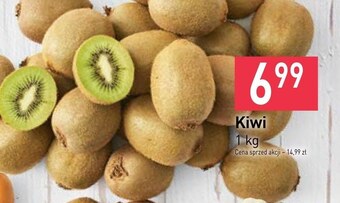 Stokrotka Kiwi oferta