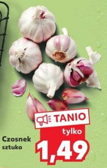 Kaufland Czosnek szt. oferta