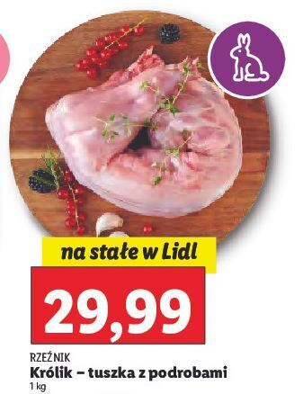 Lidl Królik z podrobami rzeźnik codzienna dostawa oferta