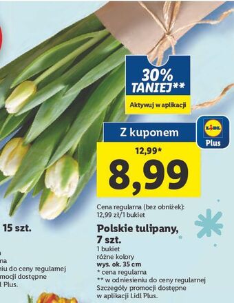 Lidl Tulipany oferta