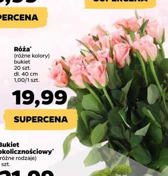 Netto Róża oferta
