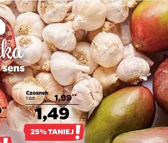 Netto Czosnek oferta
