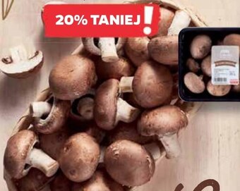 Netto Pieczarki oferta