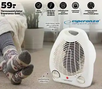 Netto Termowentylator esperanza oferta