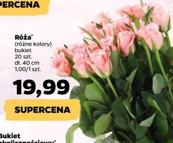 Netto Bukiet róż 40 cm oferta