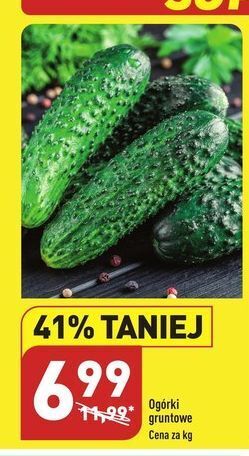 ALDI Ogórki gruntowe oferta