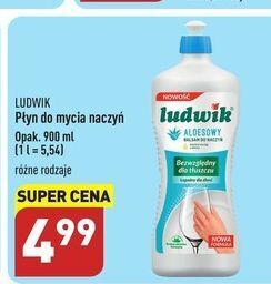 ALDI Balsam do naczyń aloesowy ludwik oferta