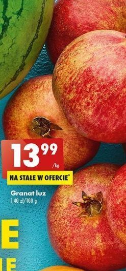 Biedronka Granat oferta