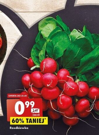 Biedronka Rzodkiewka oferta