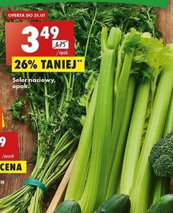 Biedronka Seler naciowy oferta