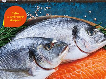 Biedronka Dorada marinero oferta