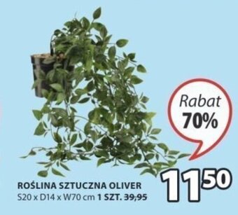 JYSK Roślina sztuczna Oliver S20xD14xW70cm oferta