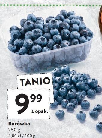 Intermarche Borówka oferta