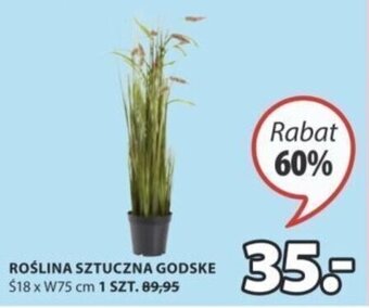 JYSK Roślina sztuczna Godske Ś18xW75cm oferta
