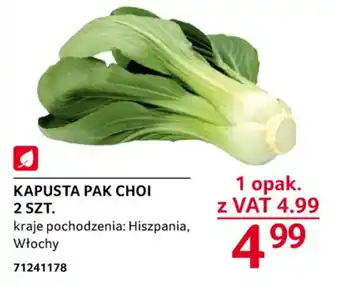 Selgros Kapusta Pak Choi 2szt. oferta