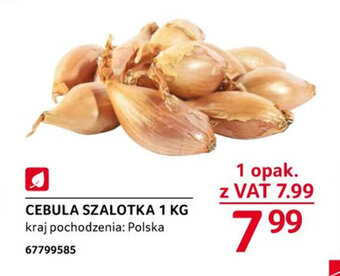 Selgros Cebula szalotka 1kg oferta