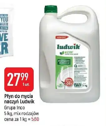 E.Leclerc Płyn do naczyń miętowy ludwik oferta