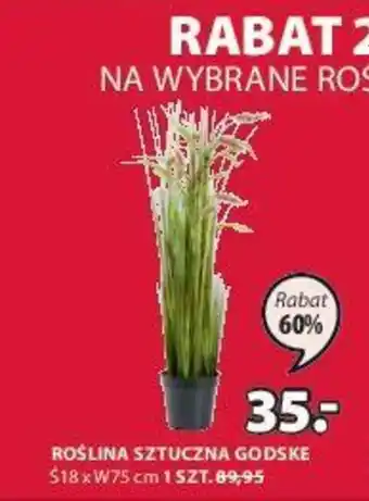 JYSK Godske Roślina sztuczna S18xW75cm oferta