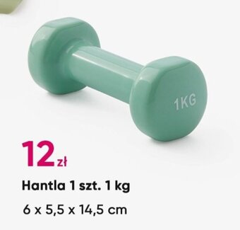 Pepco Hantla 1 szt. 1kg 6 x 5,5 x 14,5 cm oferta