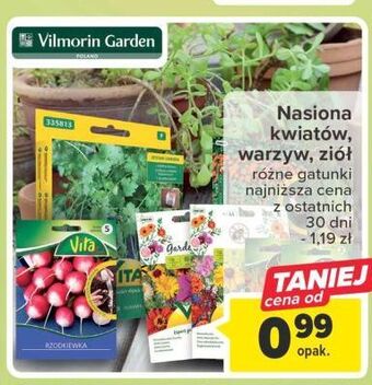 Carrefour Nasiona ziół vilmorin garden oferta