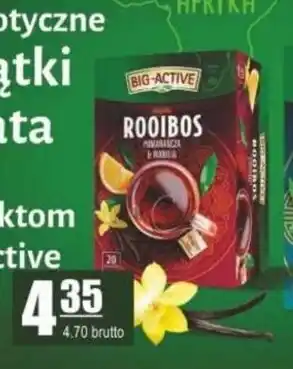 Specjał Herbapol Big-Active herbata Rooibos 20tb. oferta