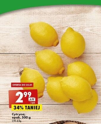Biedronka Cytryny oferta