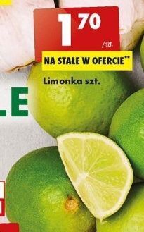 Biedronka Limonka oferta