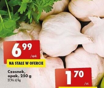 Biedronka Czosnek oferta