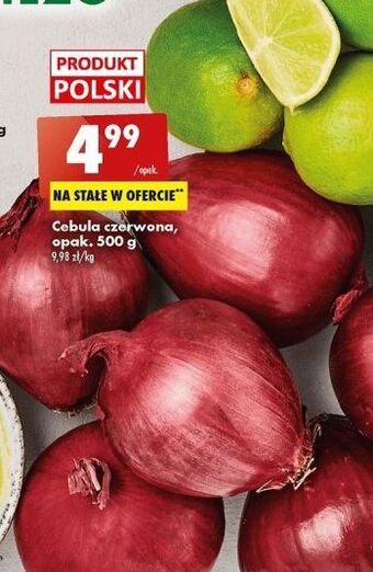 Biedronka Cebula czerwona oferta