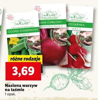 Lidl Nasiona rzodkiewka oferta