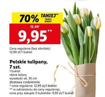 Lidl Tulipany 35 cm oferta