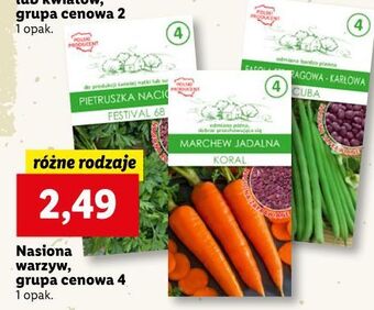 Lidl Nasiona marchew oferta