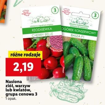 Lidl Nasiona ogórka konserwowego oferta