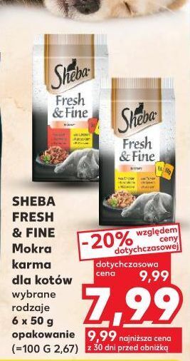 Kaufland Karma dla kota z kurczakiem wołowiną kaczką sheba fresh & fine oferta